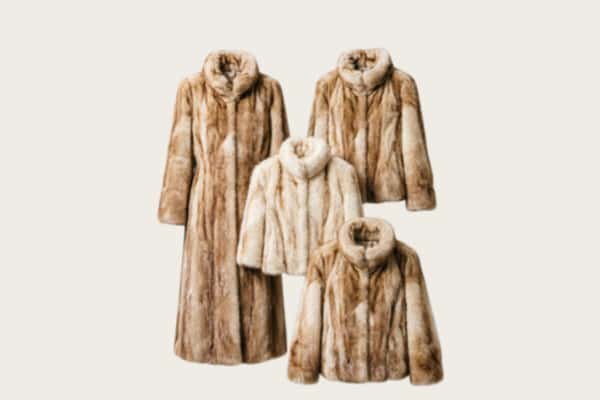 惠州回收皮草衣服